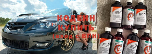 ГАЛЛЮЦИНОГЕННЫЕ ГРИБЫ Арсеньев