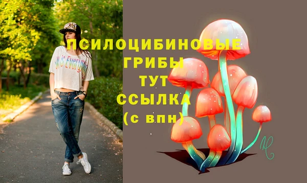 гашик Армянск